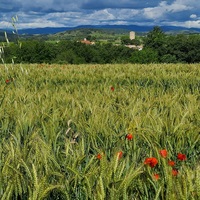 Photo de france - Margon